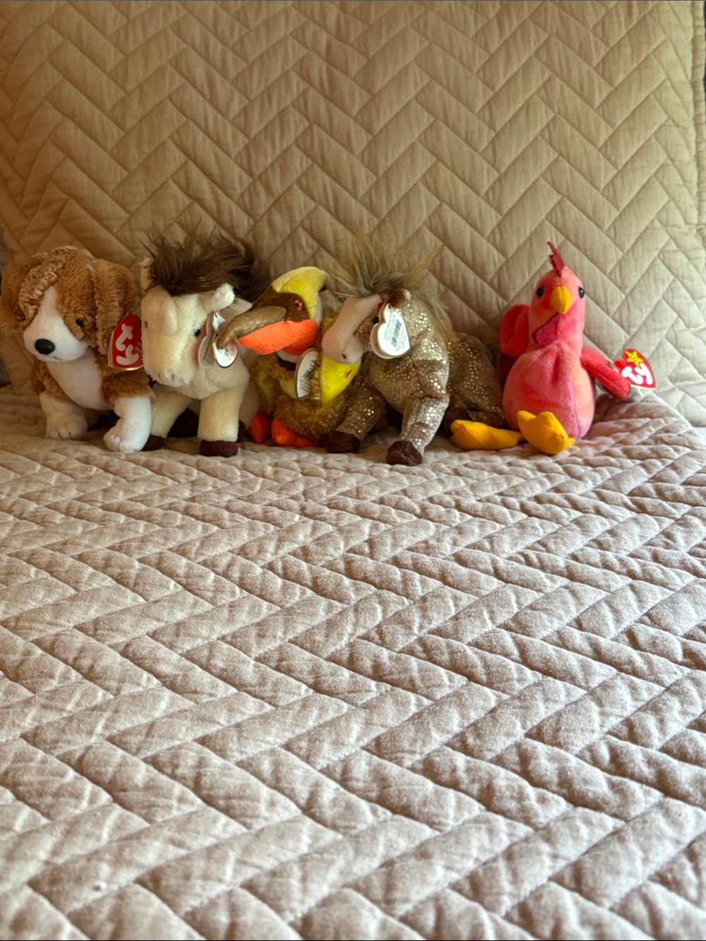 Beanie Babies lot of 5 toys
